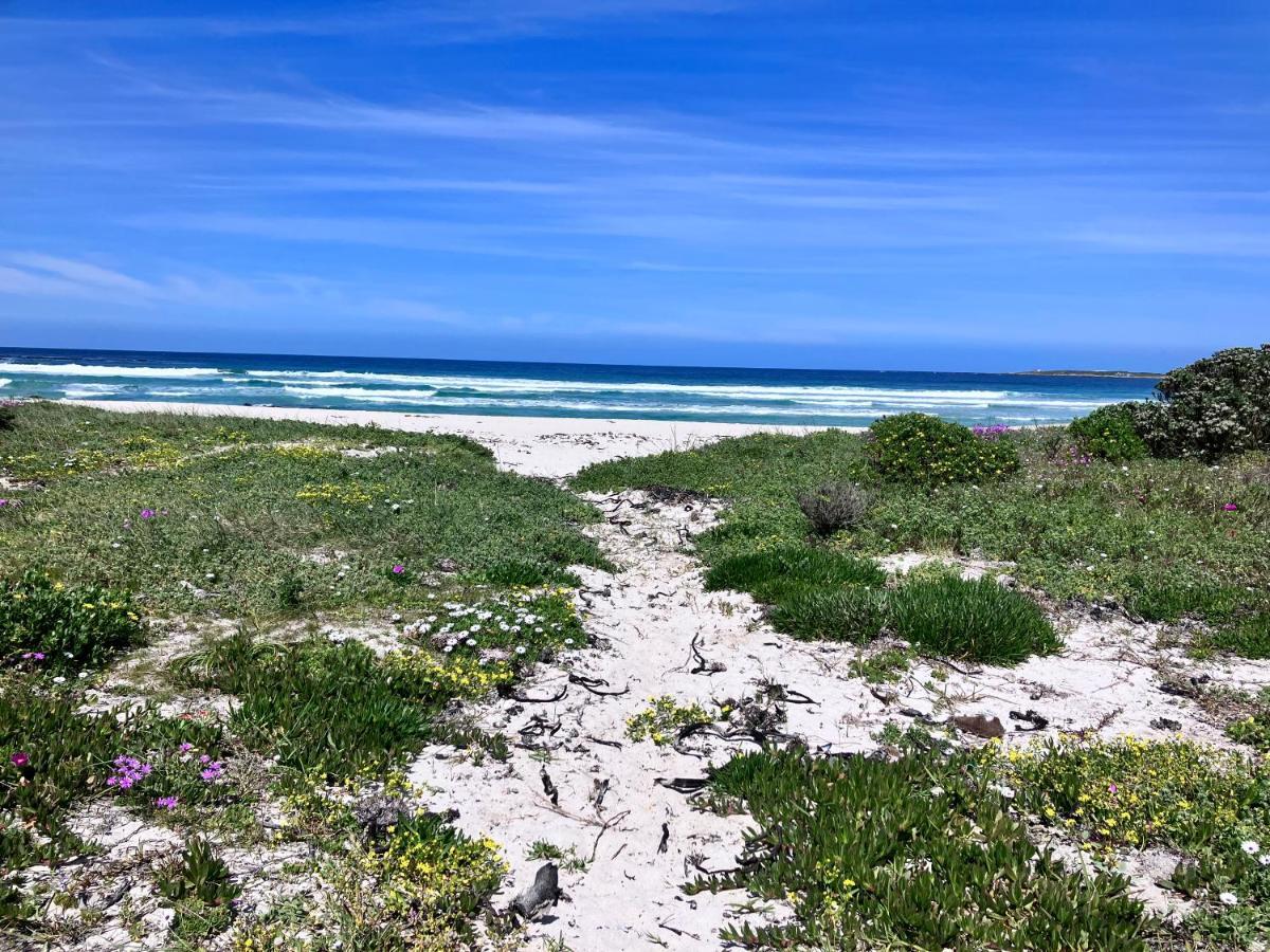 Silverdunes - Seaview Bettyʼs Bay Екстериор снимка